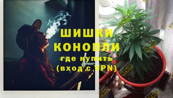 спиды Краснослободск
