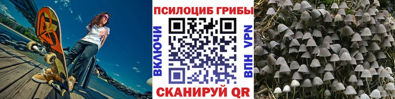 Галлюциногенные грибы Psilocybine cubensis  Купить  Выкса 